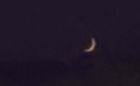 �茑�����ı�����100��