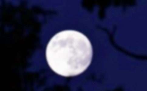 �A�ɑz�Ⱦ�Ӱ800�����ģ�ͨ��19ƪ��