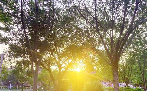 ��Ҋů���簲���Դ�ȫ170��