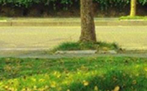 �簲��־�Z�