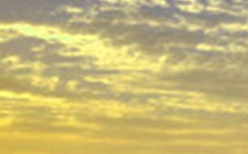 �簲���������Z