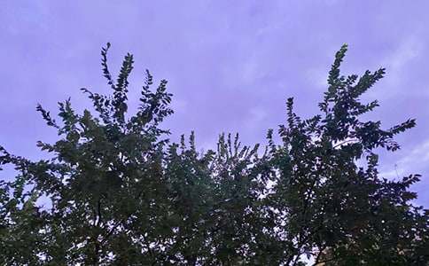 ��һ�簲�Z��140��