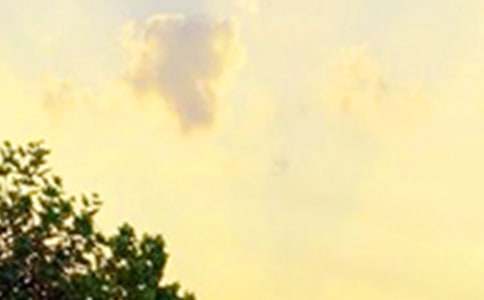 ��־���簲�����Z�500��