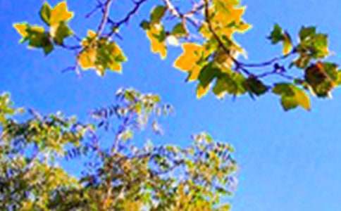 2025���־�簲�Z�280�l