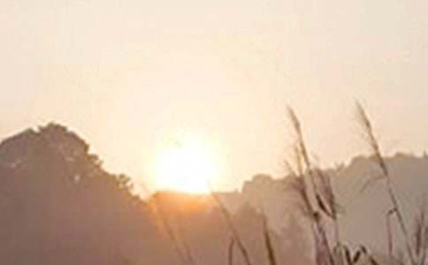 �簲��M��������־�Z�9ƪ