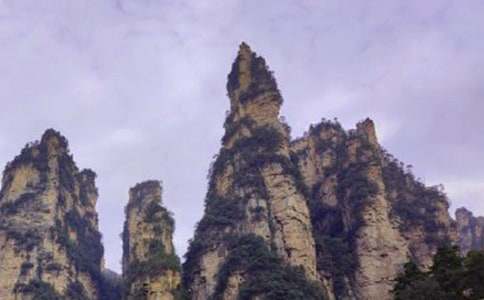 �Ώ��ҽ�ɭ�ֹ��@_����