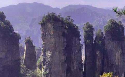 �Ώ��ҽ����Tɽ����