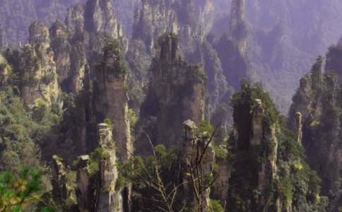 �����ď��ҽ�����100�֣����x22ƪ��