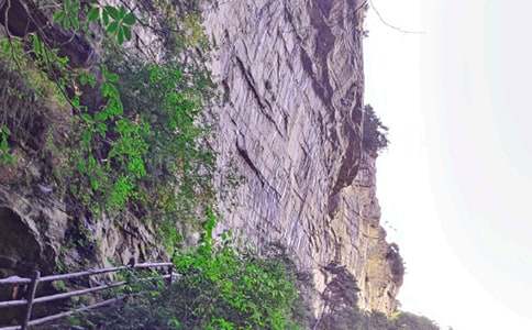 �Ώ��ҽ����TɽС�W��������500�֣����x32ƪ��