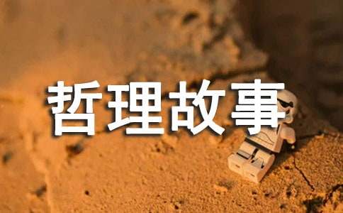 �׺�������������