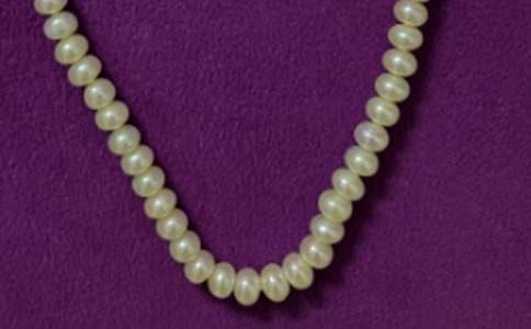 ��Ո����������800��