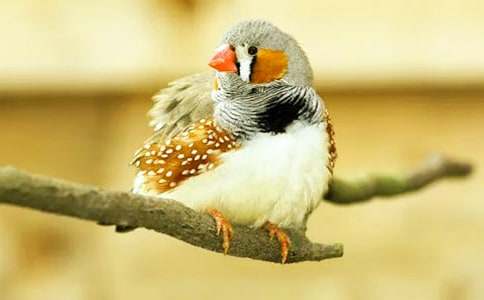 �����]�������B������ƪ