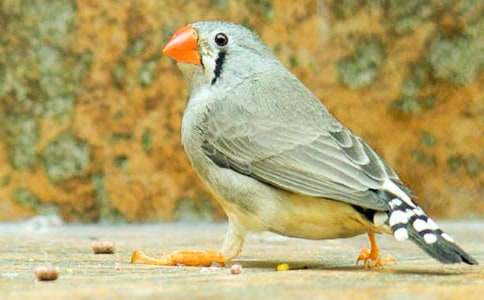 �n�ġ������B���ă���̌W�OӋ����