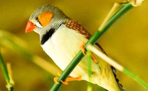 �����T�������B����