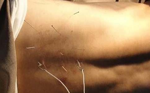 2017���t�̘I�t��ᘾČW���c����̫ꖰ��׽�Ѩ