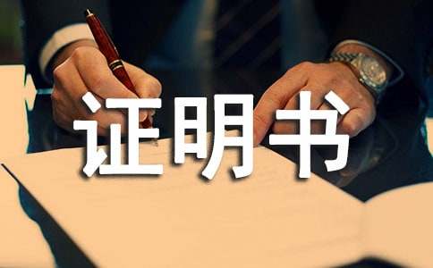 �����C����