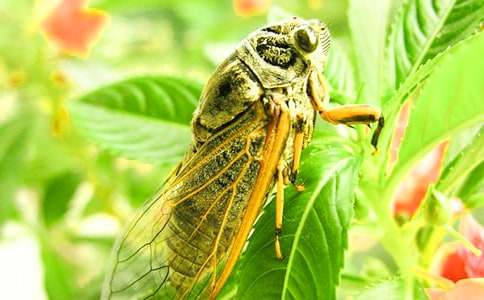 ֪������400�ְ�ƪ