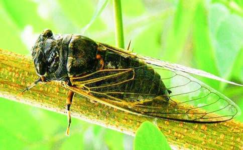 ׽֪������500����ƪ