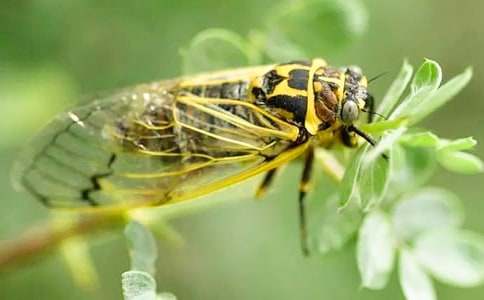 ֪�ˌW�w��С�W���ģ����x38ƪ��