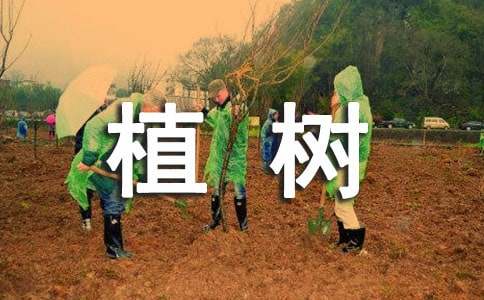 ֲ���Ӄ�������