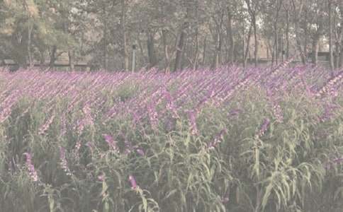 ������ֲ��@��������-��������