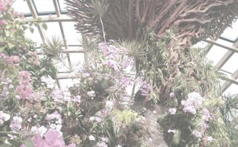 �δ��Bֲ��@