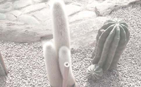 ��ɽֲ��@����