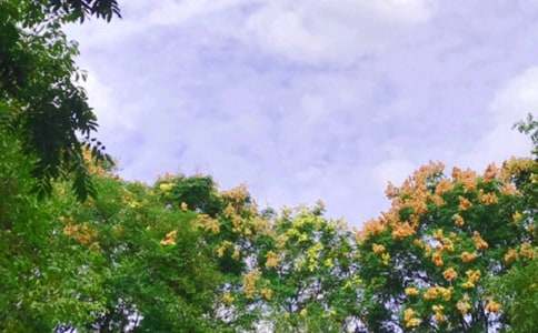 �ҵ����������