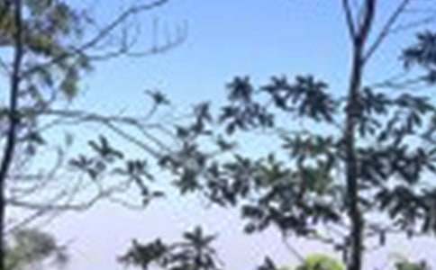 ��������600����ƪ