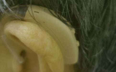 ���ѵ��� ������