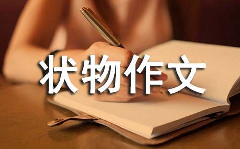 ���꼉�������ģ��~_700��