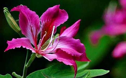 ���G�����ľ��x