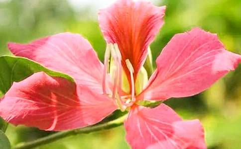 ���������G������