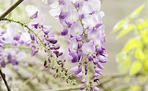 ���l�����ٻ���������