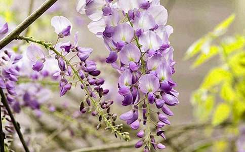 ���������ٻ�С�W������350��