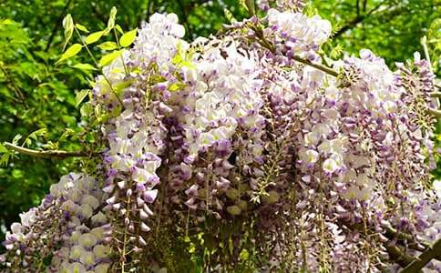 �茑���ٻ���200������