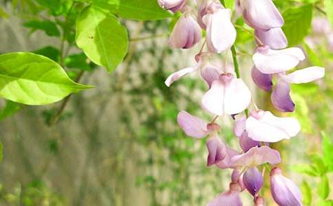 ���ٻ�����400��