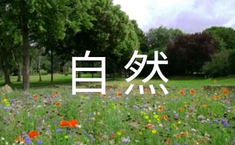 �P�ڟ�۴���Ȼ������