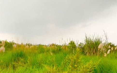 ���M���C�Ĵ�������550�ֳ���