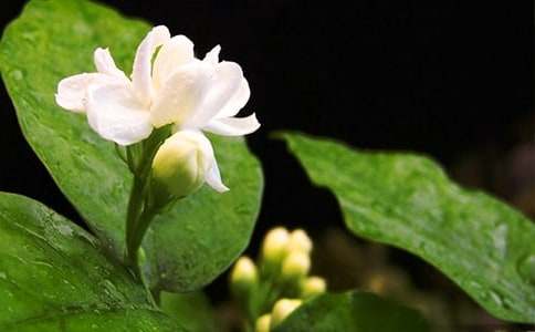 �^����������(5ƪ)