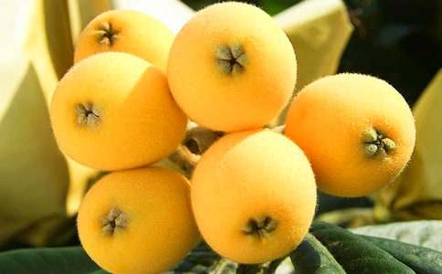 ӛ���е����˘�����