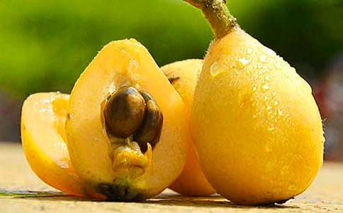 關于枇杷作文600字6篇