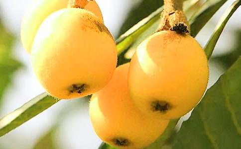 �����˘�����ģ����x52ƪ��