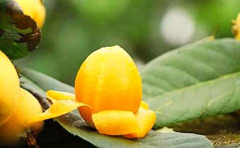 ��������600�ְ�ƪ