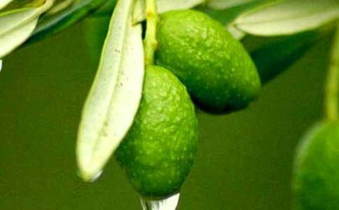 С�ϙ�����ӛ����