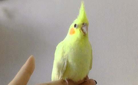 ���P�W�^�~����3ƪ