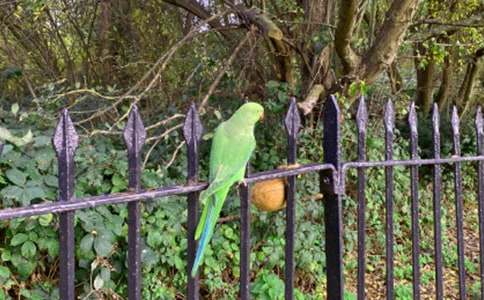 ���P�W�^�~����7ƪ