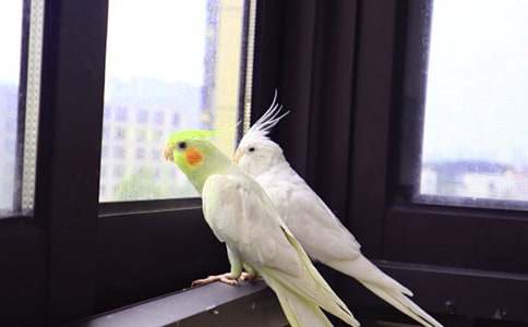 �W�^ͯԒ�����\����ƪ