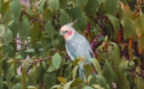 ���P�W�^�~���ĺϼ���ƪ