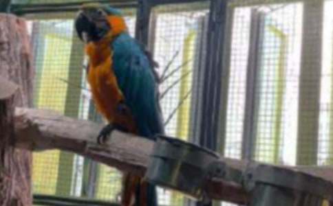 ��Ƥ�W�^�����ģ�ͨ��20ƪ��